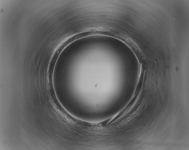 X0000063440784200601271513
