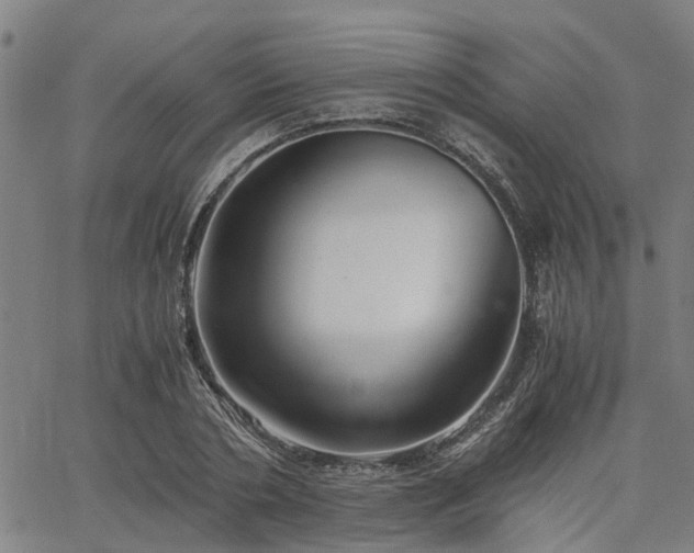 X0000063440786200601271513
