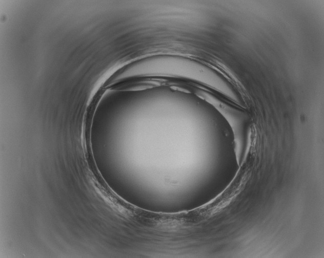 X0000063440788200601271513