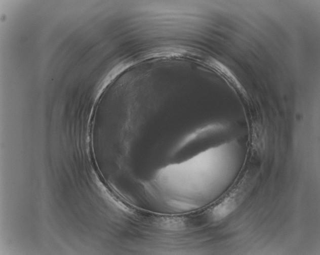 X0000063440802200601271512