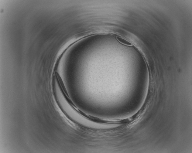 X0000063440803200601271512