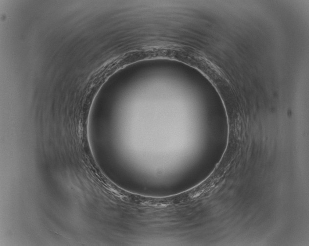 X0000063440821200601271511