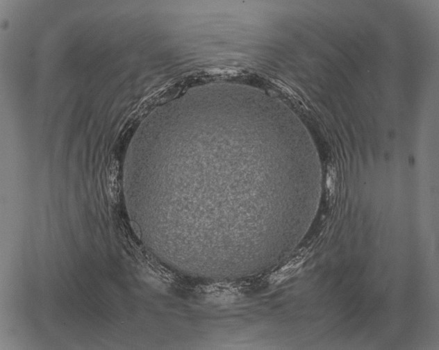 X0000063440867200601271511