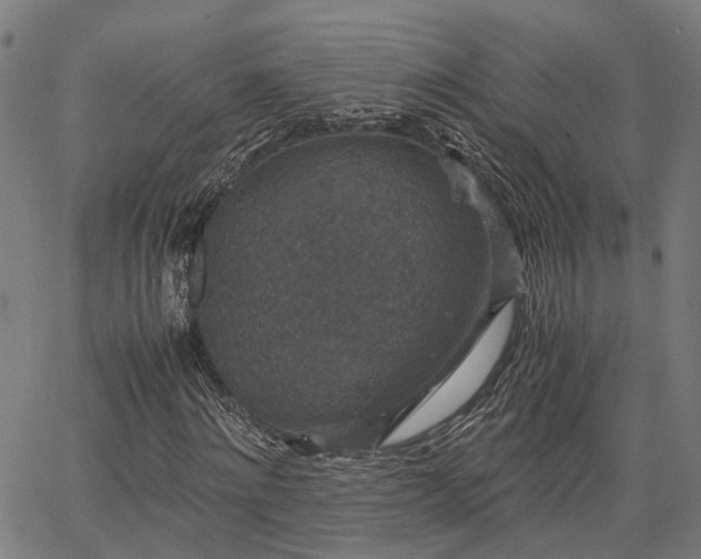 X0000063440868200601271511