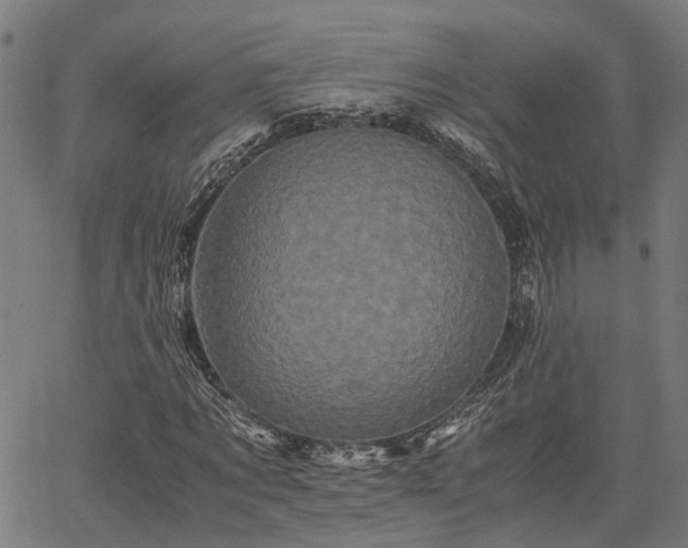 X0000063440869200601271511