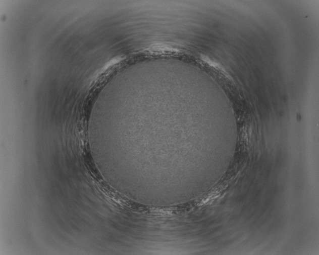 X0000063440870200601271511