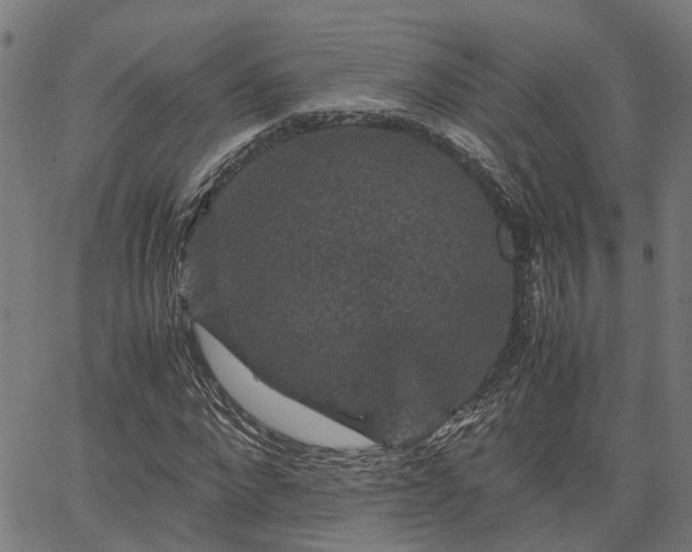 X0000063440872200601271511