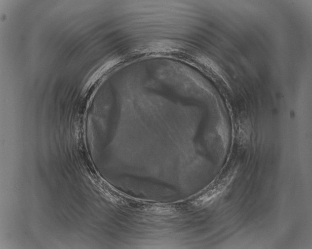 X0000063440874200601271511