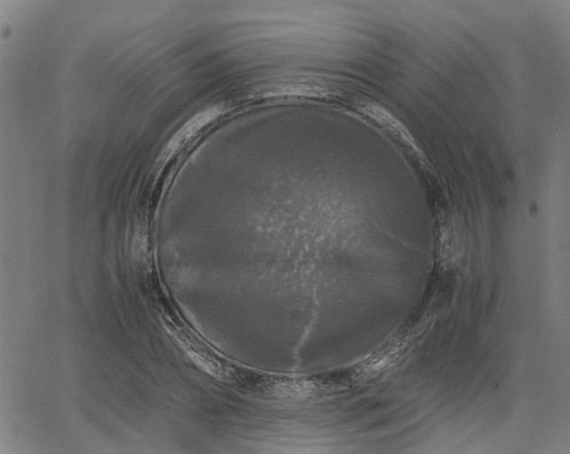 X0000063440882200601271511