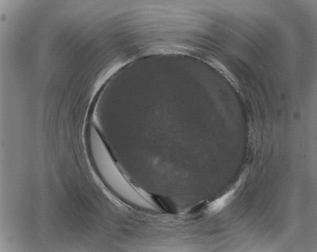 X0000063440893200601271511