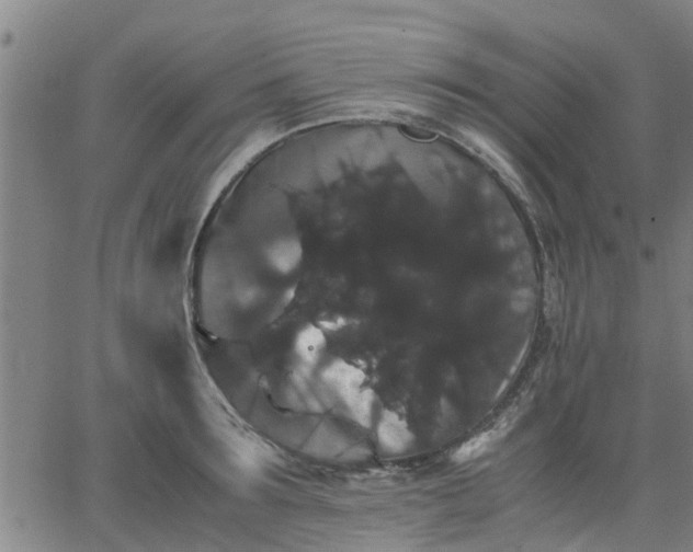 X0000063440899200601271511