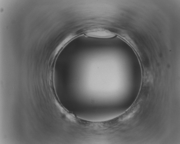 X0000063440909200601271511