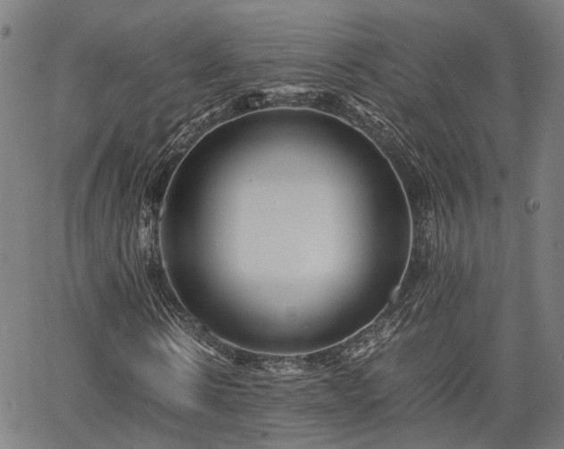 X0000063440914200601271510