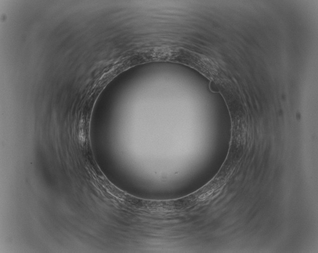 X0000063440962200601271510