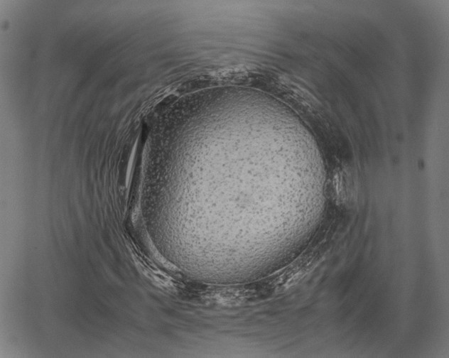 X0000063440963200601271510