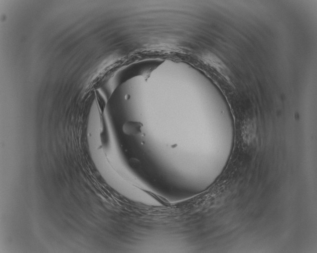X0000063440968200601271510