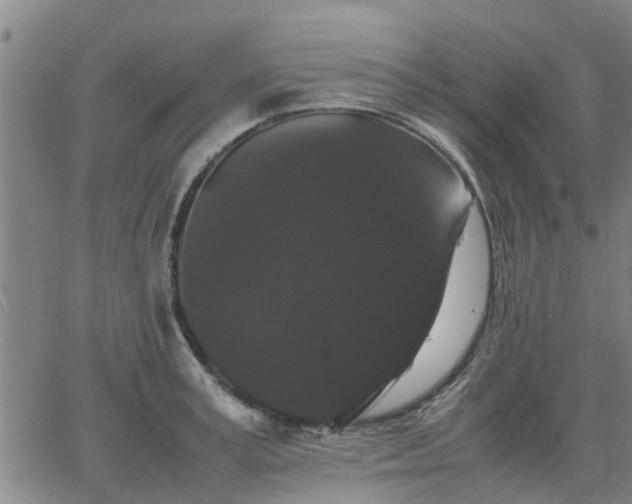 X0000063440995200601271509