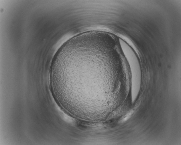 X0000063440999200601271509