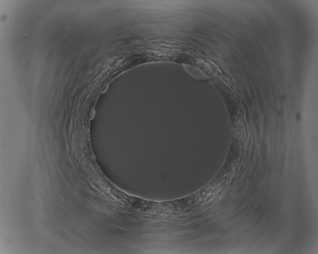 X0000063441009200601271508