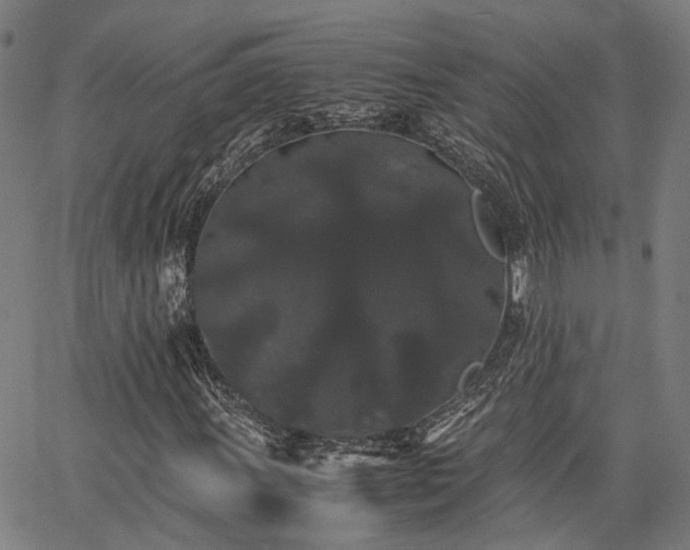 X0000063441011200601271508