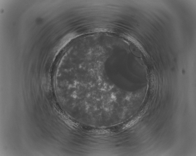 X0000063441023200601271509