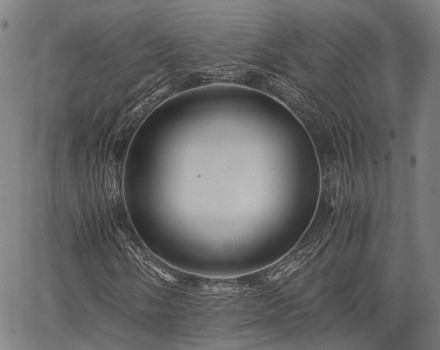 X0000063441058200601271508