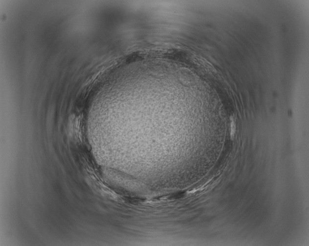 X0000063441059200601271508
