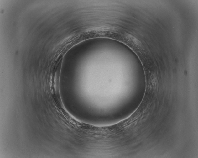 X0000063441062200601271508