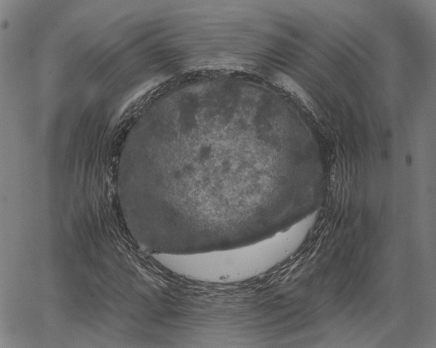 X0000063441064200601271508