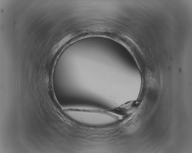 X0000063441065200601271508