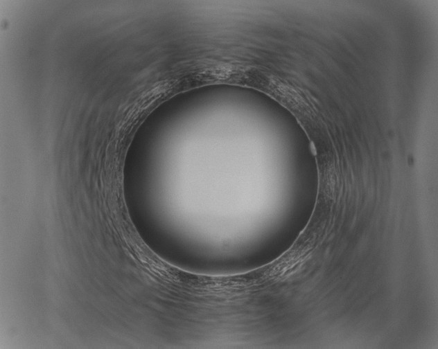 X0000063441105200601271507