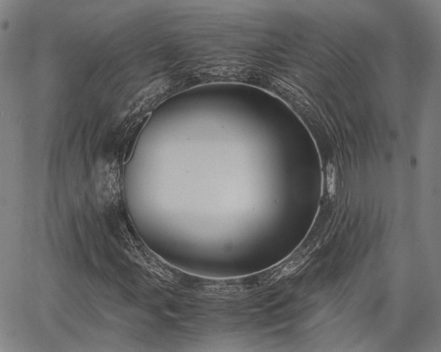 X0000063441107200601271507