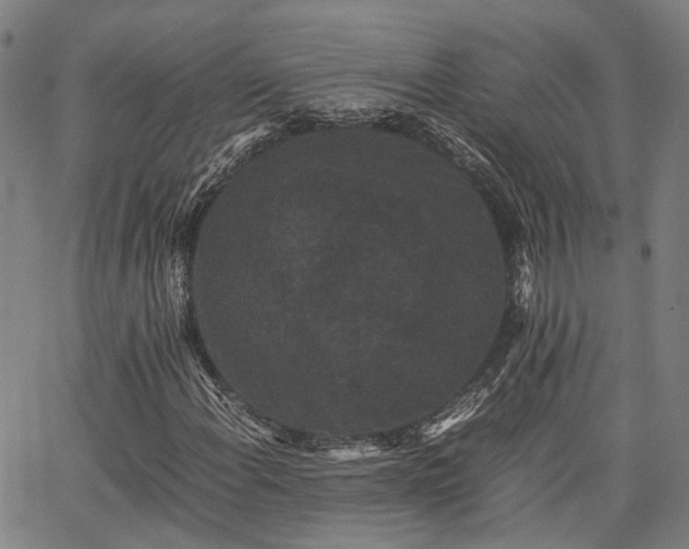 X0000063441108200601271507