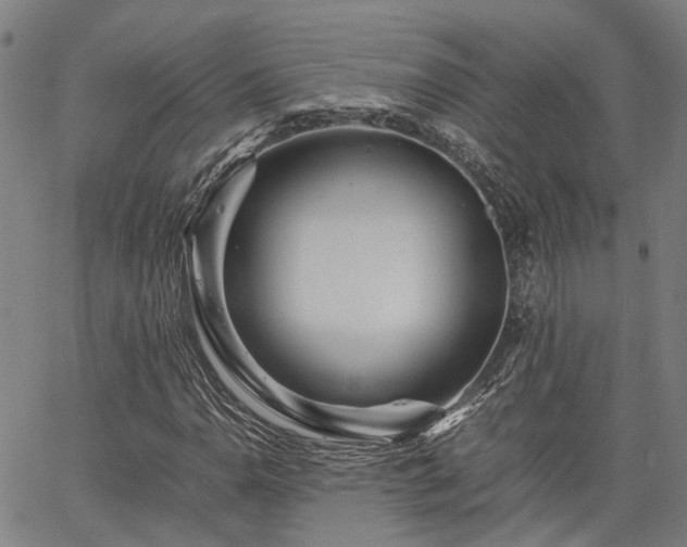 X0000063441110200601271507