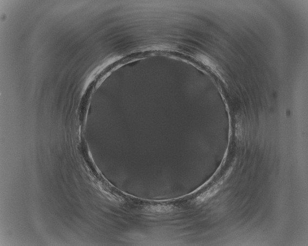 X0000063441117200601271507