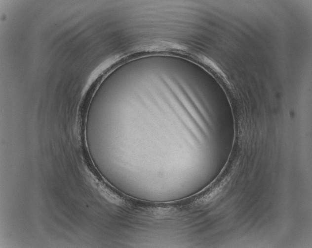 X0000063441122200601271507