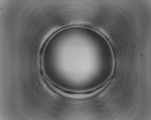 X0000063441124200601271507