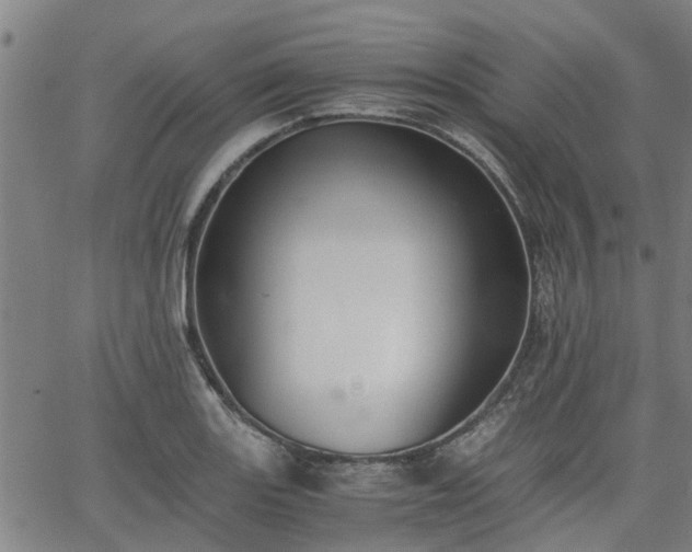 X0000063441131200601271507