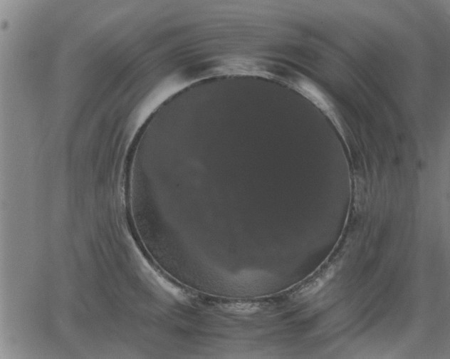 X0000063441141200601271507