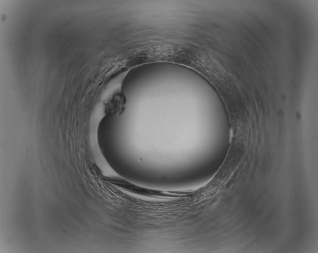 X0000063441153200601271507