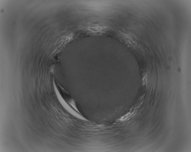 X0000063441156200601271507
