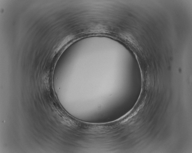 X0000063441162200601271507