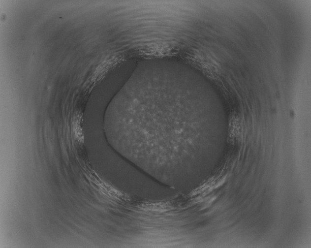 X0000063441202200601271505