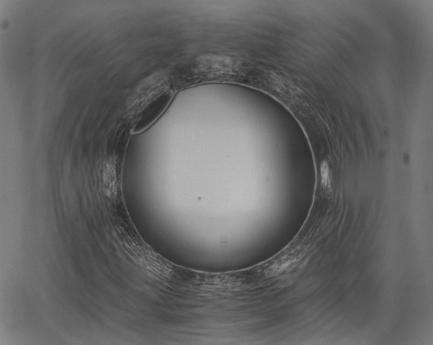 X0000063441203200601271505