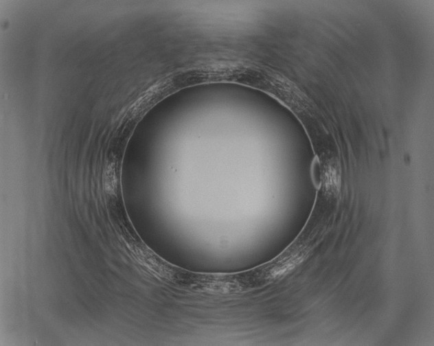 X0000063441204200601271505