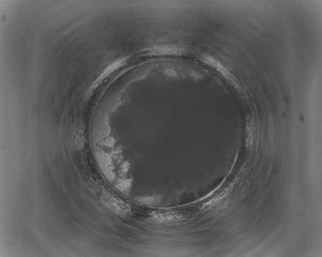 X0000063441213200601271505