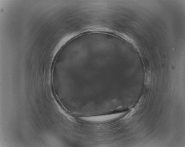 X0000063441231200601271506