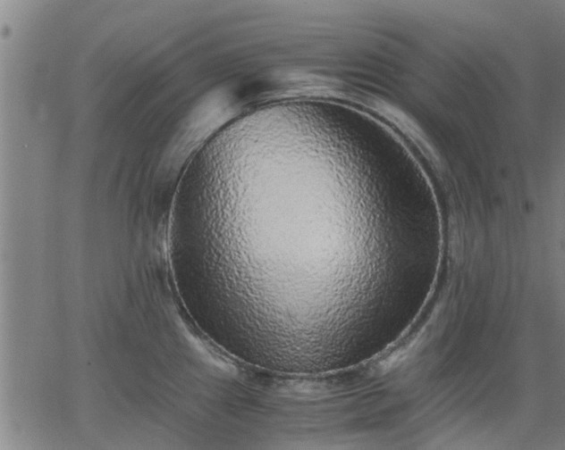 X0000063441241200601271506