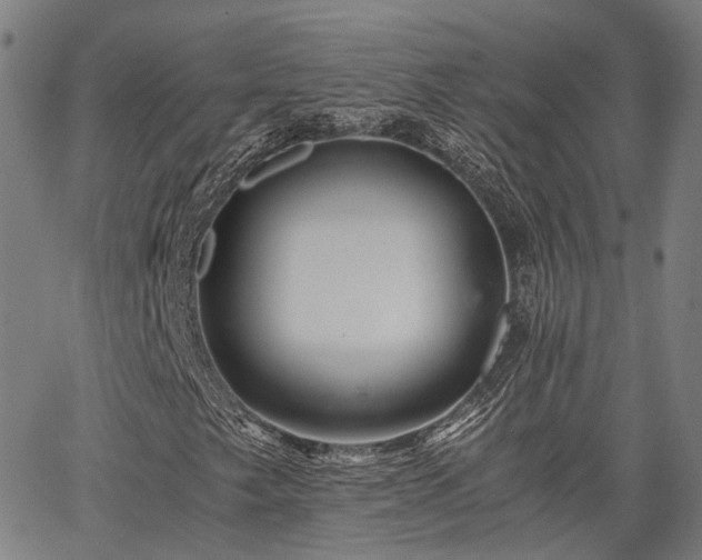 X0000063441249200601271505