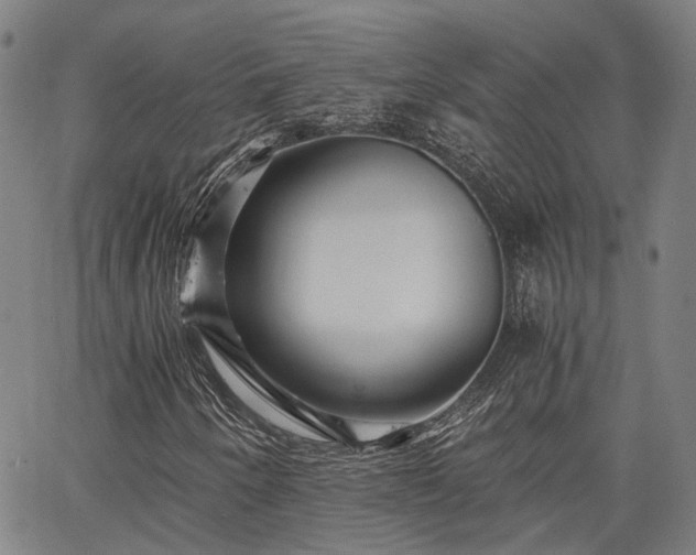 X0000063441250200601271505